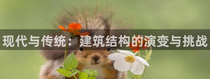 乐发平台怎么样知乎赚钱