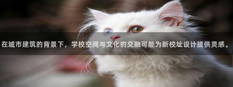 乐发平台网址是什么