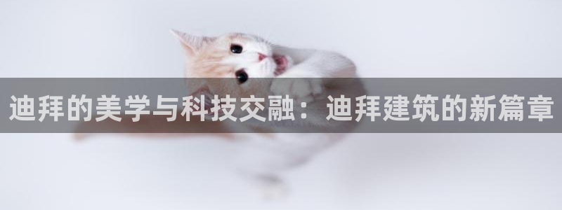 乐发彩票是什么平台