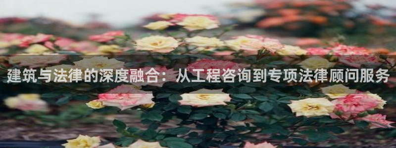 乐发彩票平台怎么样