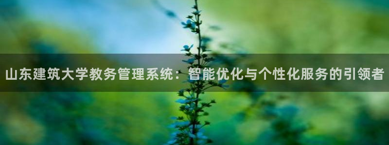 乐发ii彩票平台怎么样