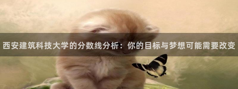 乐发iv平台