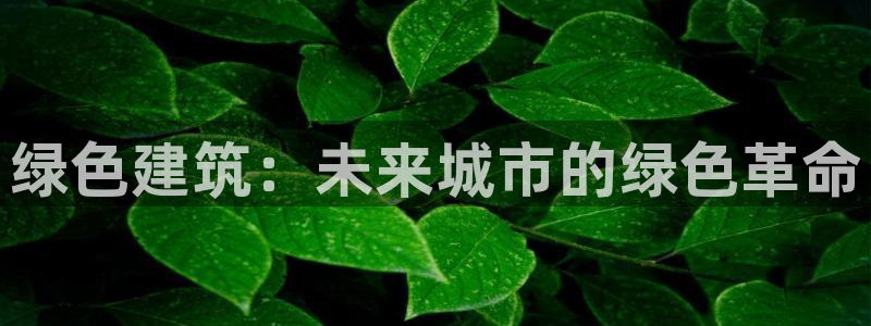 乐发lx平台