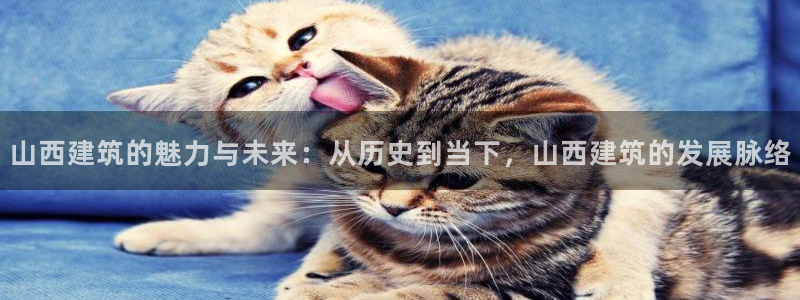 乐发所有平台都能用吗