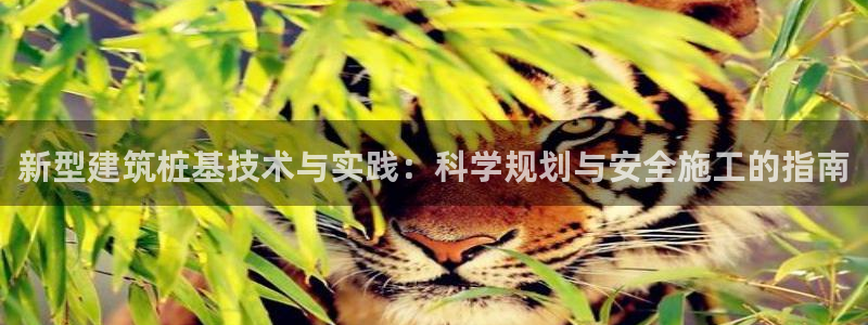 乐发平台不能提现
