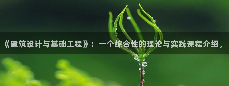 乐发天天娱乐平台注册：《建筑设计与基础工程》：一个综合性的理论与实践课程介绍。