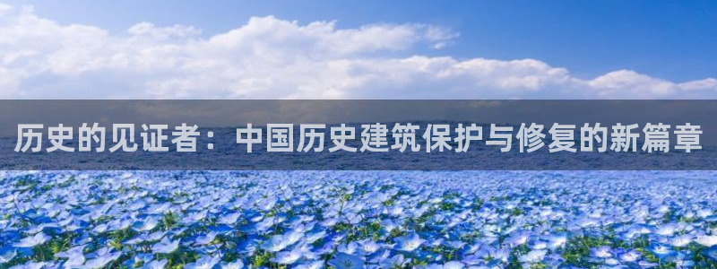 大发云系统彩票平台乐发