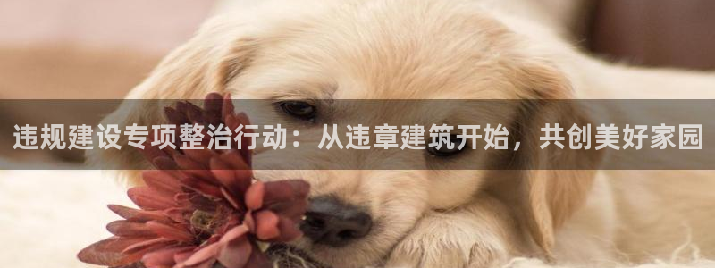 兼职乐app发圈平台