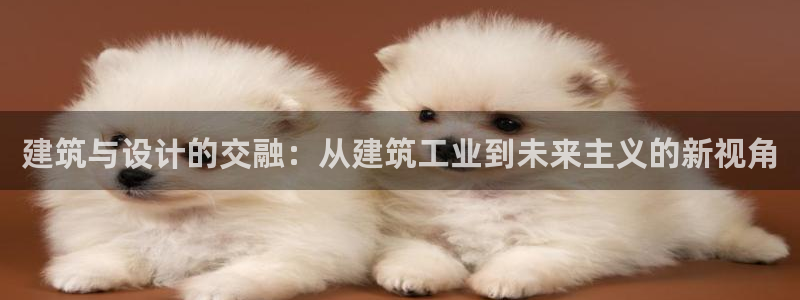 乐发平台下载安装