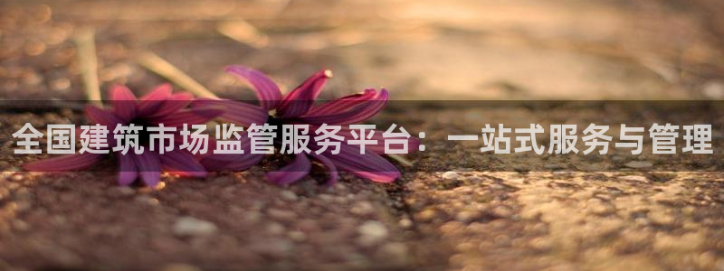 乐发分期是什么贷款平台