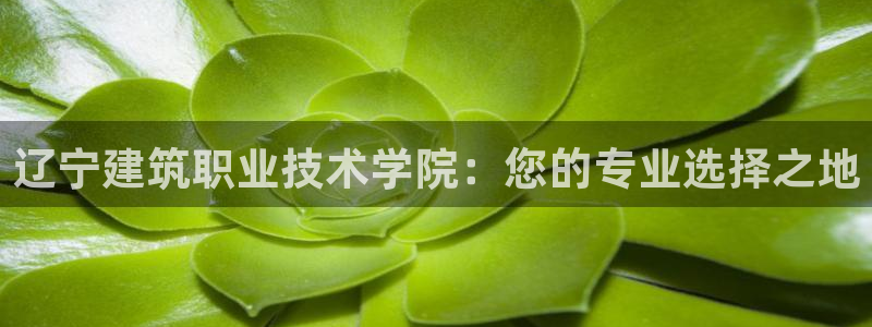 乐发彩票平台正规不：辽宁建筑职业技术学院：您的专业选择之地