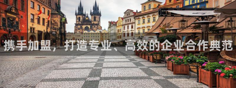 乐发快三最新平台：携手加盟，打造专业、高效的企业合作典范
