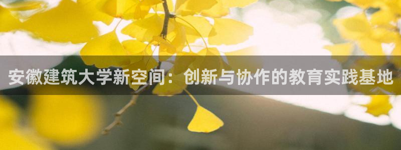 乐发平台彩票怎么样