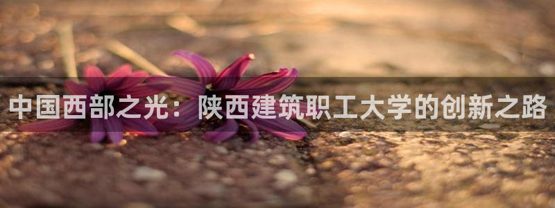 乐发彩票是黑平台吗