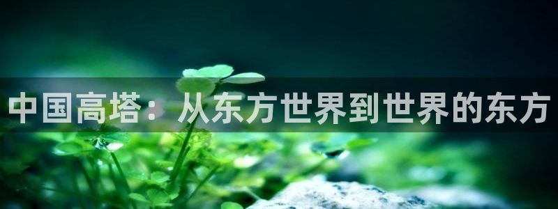 乐发体育平台官网首页：中国高塔：从东方世界到世界的东方