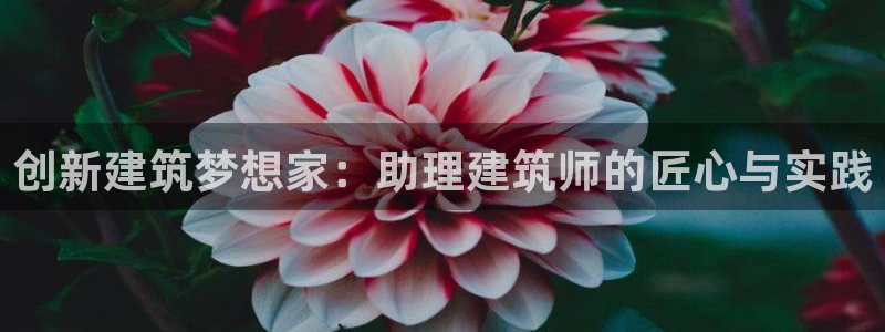 乐发体育平台怎么样