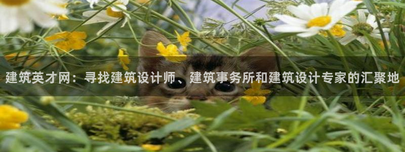 乐发iii平台优点