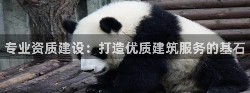 乐发彩票平台下载安装