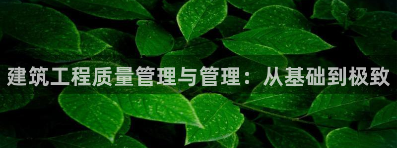 类似乐虎优发老虎机平台