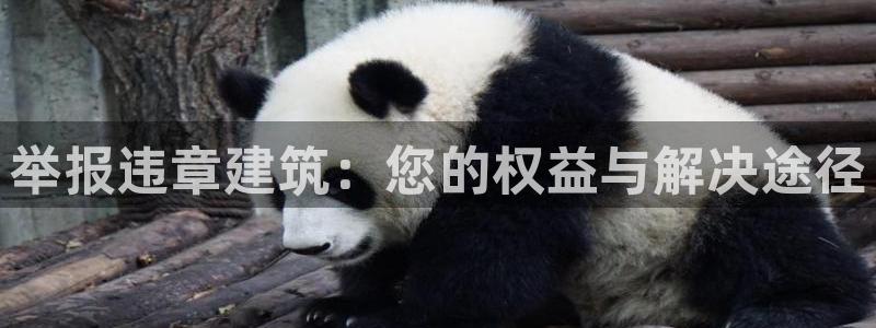 乐发app下载平台官网