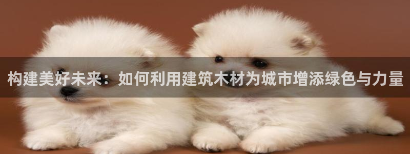 乐发彩票是黑平台吗