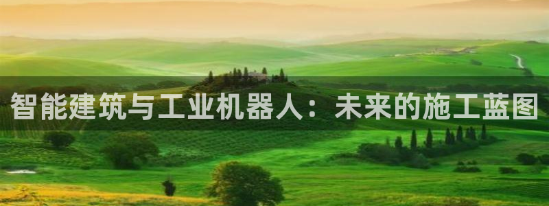 乐发彩票网平台带人玩的