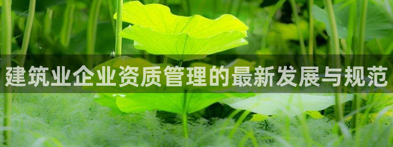 乐发vll彩票平台合法