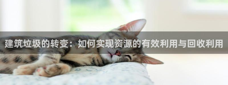 乐发平台为什么打不开了