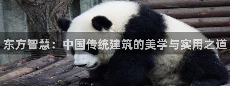 乐发天天娱乐平台注册