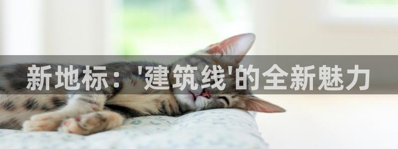 乐发彩票官网登录平台