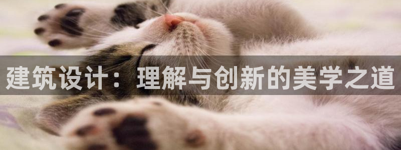 乐发是不是正规平台