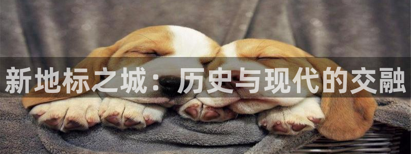 乐发彩票最新平台