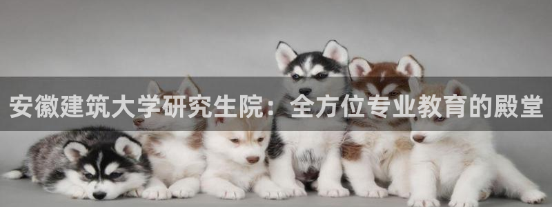 乐发1彩票平台下载